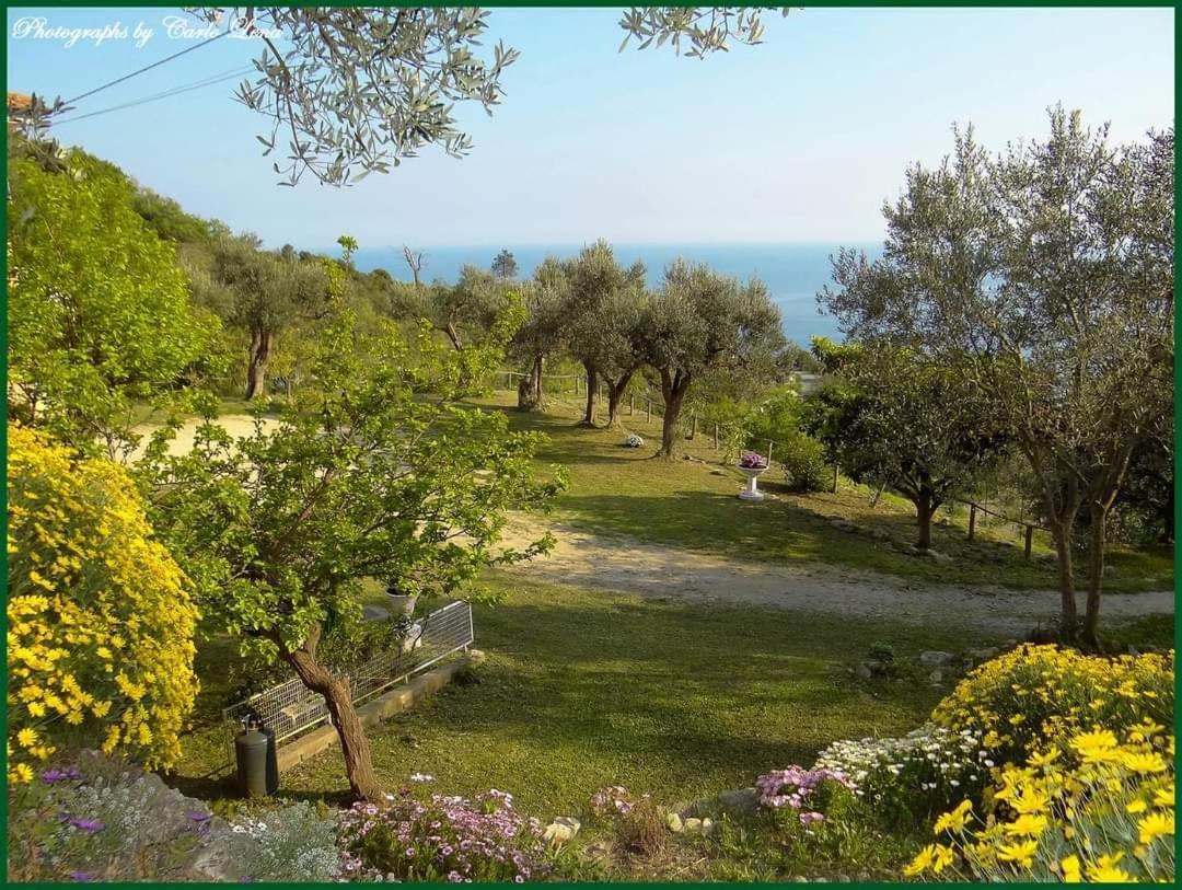 Villa Pierina Finale Ligure Exterior foto