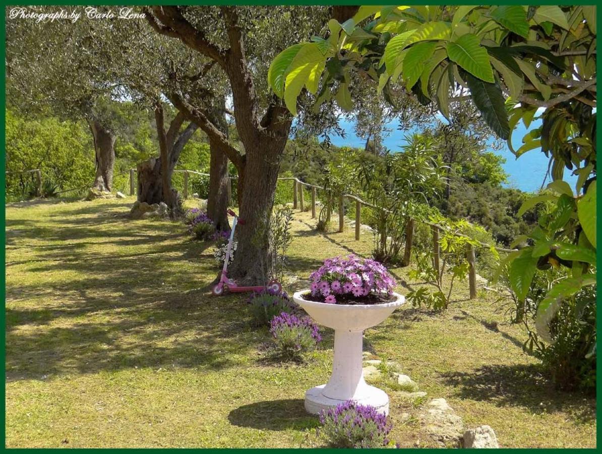 Villa Pierina Finale Ligure Exterior foto