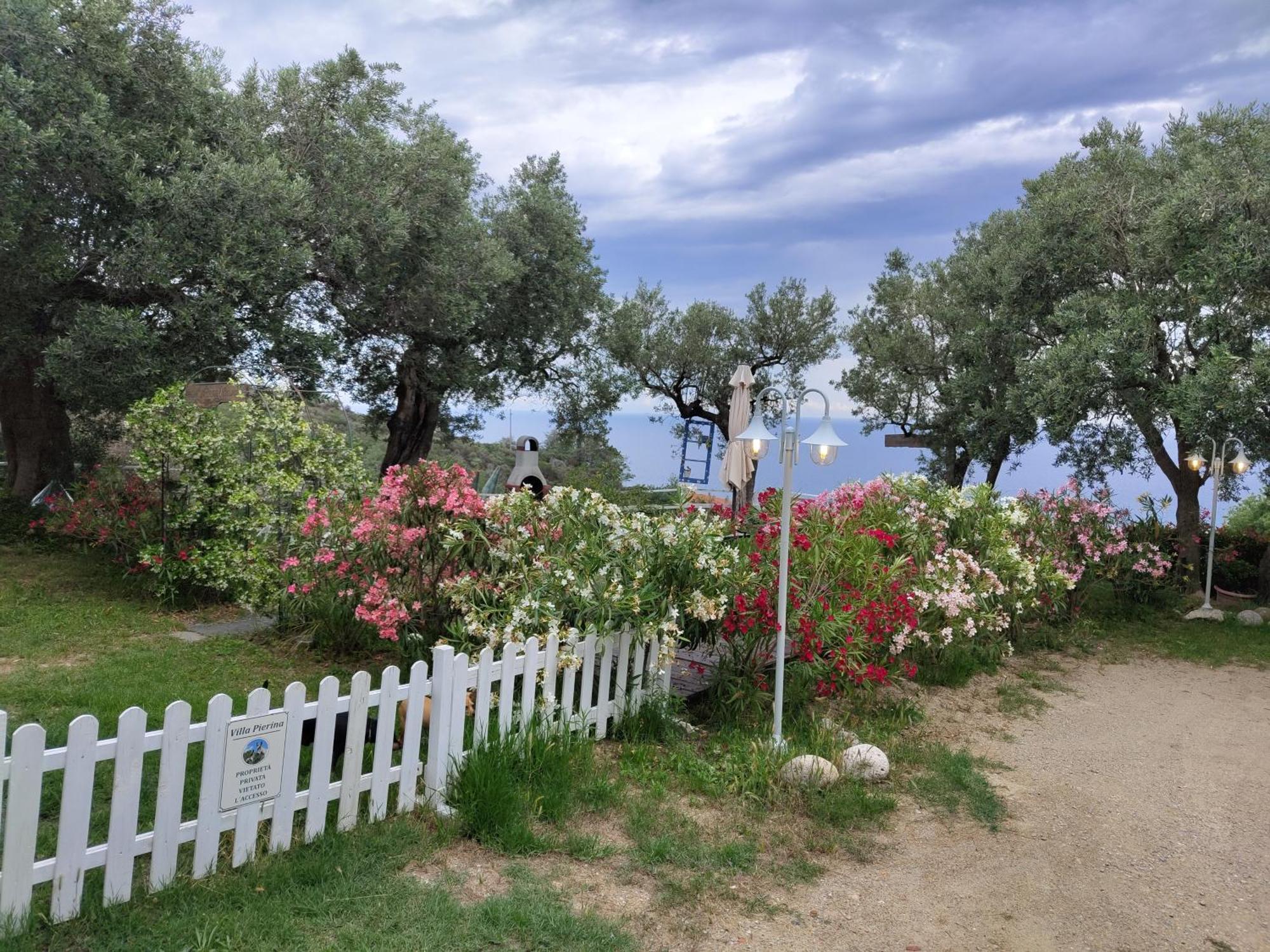 Villa Pierina Finale Ligure Exterior foto